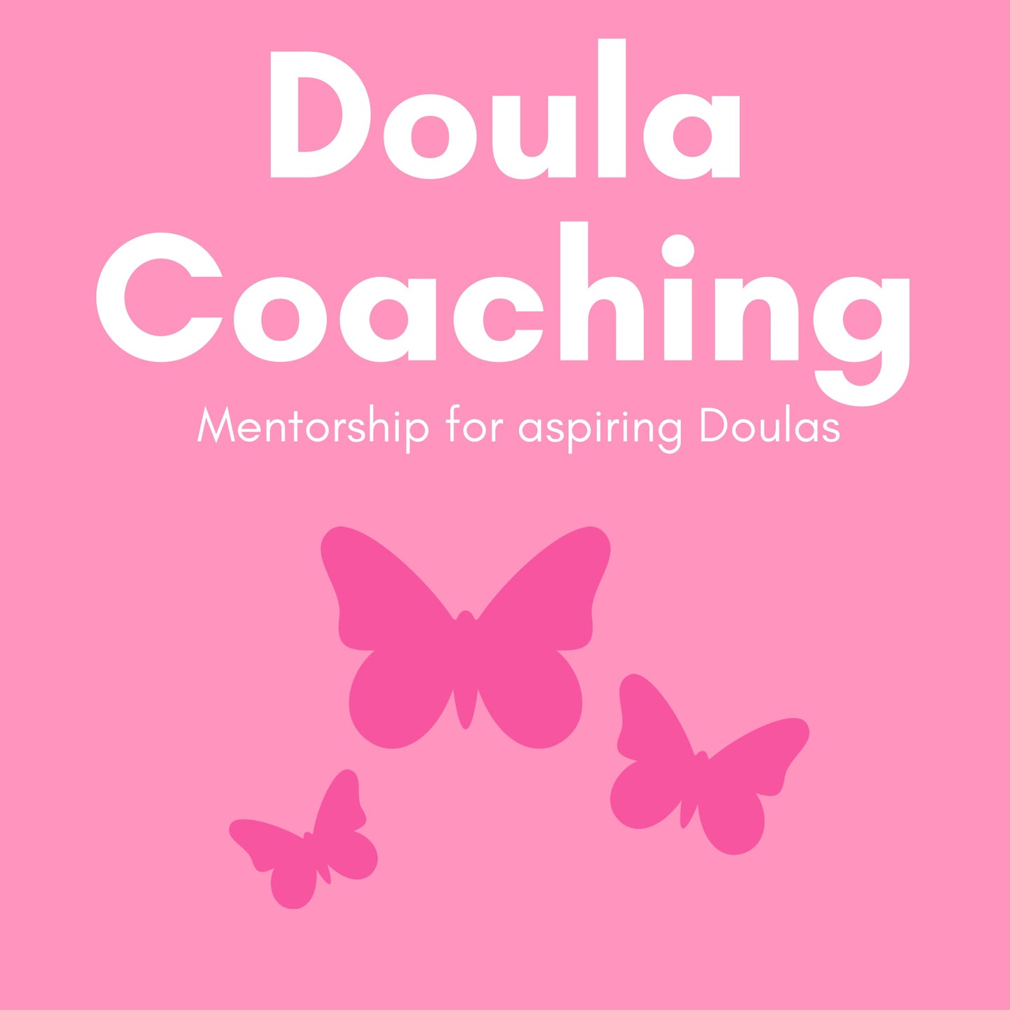 Virtual Doula Coaching Program