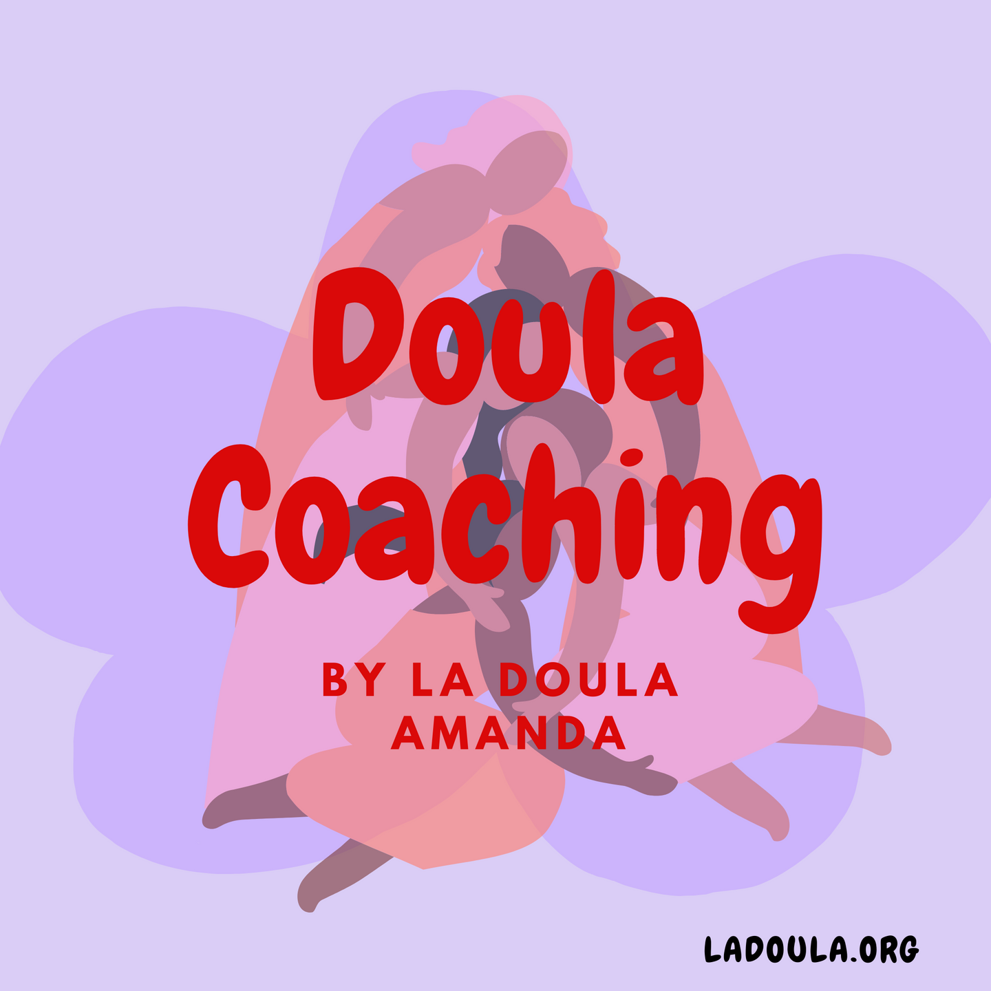 DOULA COACHING PROGRAM